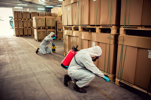 Best Pest Prevention Services  in Homosassa Springs, FL