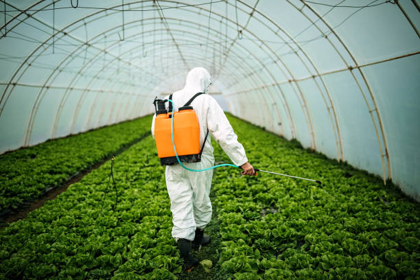 Professional Pest Control in Homosassa Springs, FL