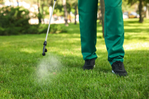 Best Flea Control Services  in Homosassa Springs, FL