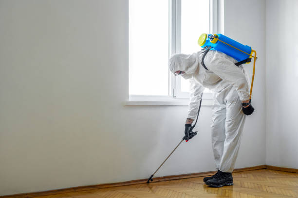 Insect Control in Homosassa Springs, FL